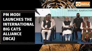 India briefing on International Big Cat Alliance